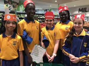 006 2018 Woolworths Sustainability