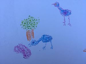 2019 Emu Drawings Photo 11